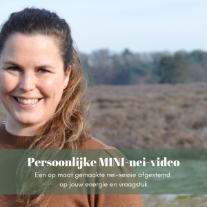 mini-nei-video